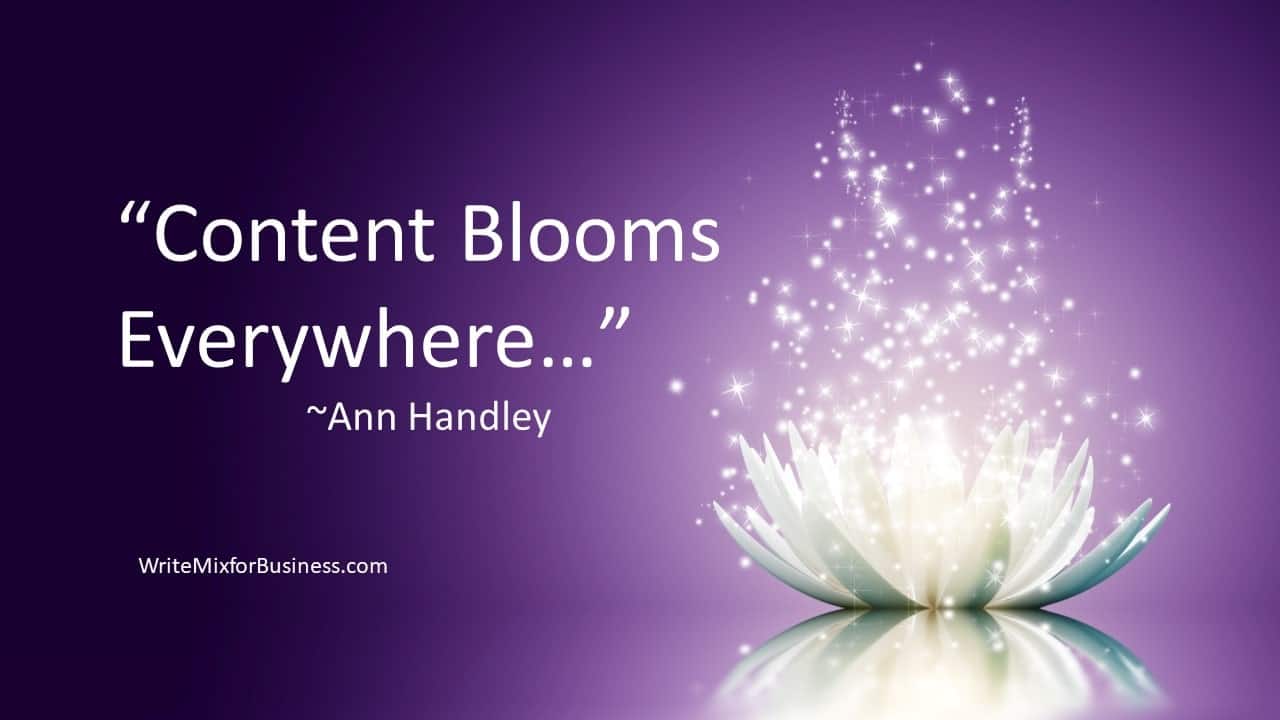 Content Blooms Visual 2 for Write Mix for Business by Sue-Ann Bubacz with purple background and white flowering top opening with sparkles coming from the bloom with this copy "Content Blooms Everywhere~Ann Handley" a quote from Ann from post